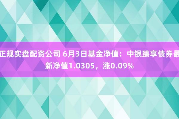 正规实盘配资公司 6月3日基金净值：中银臻享债券最新净值1.0305，涨0.09%